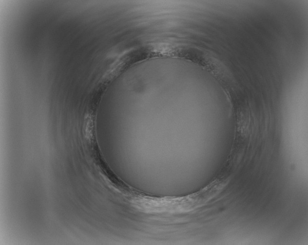 X0000056380036200509021853