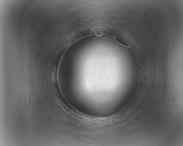X0000056380038200509021853