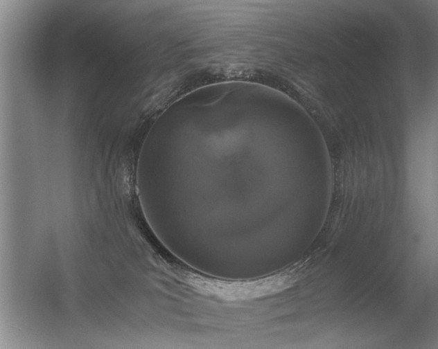X0000056380039200509021853