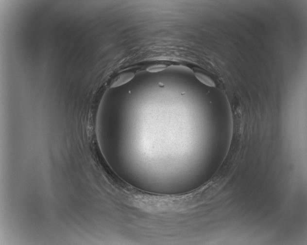 X0000056380040200509021853