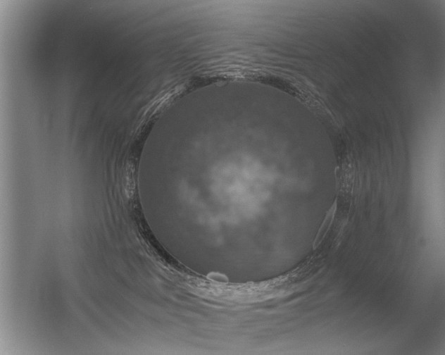 X0000056380043200509021852