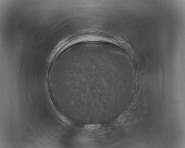 X0000056380051200509021852