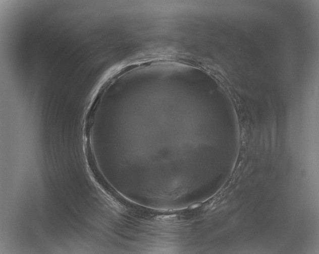 X0000056380054200509021852