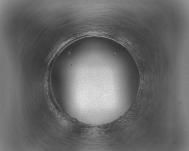 X0000056380098200509021852