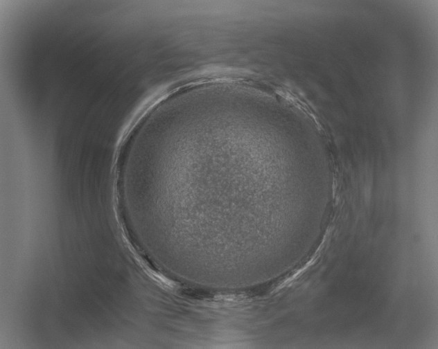 X0000056380101200509021851