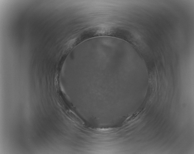 X0000056380127200509021851