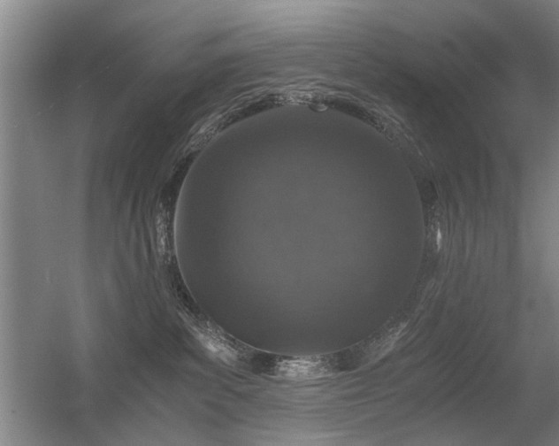 X0000056380139200509021851
