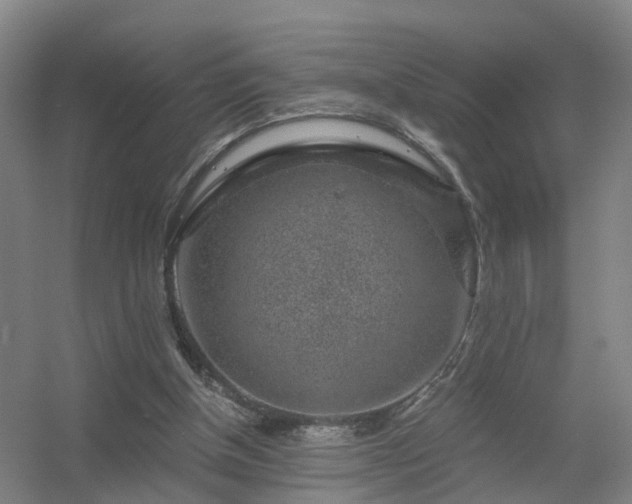 X0000056380154200509021850