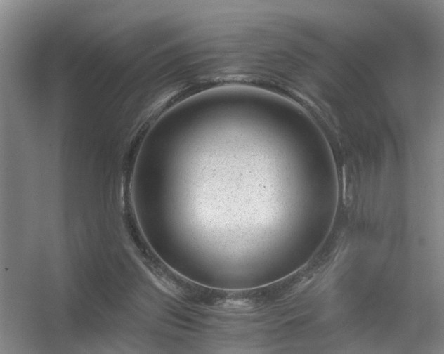 X0000056380157200509021850