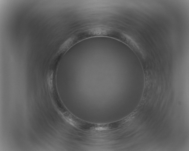 X0000056380163200509021850