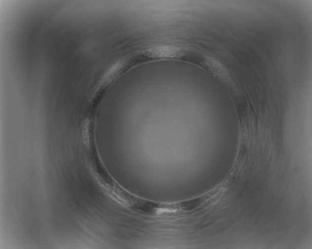 X0000056380167200509021850
