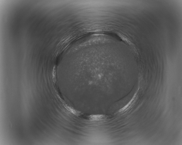 X0000056380192200509021851
