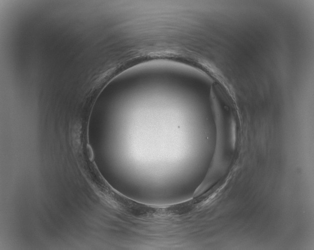 X0000056380201200509021850