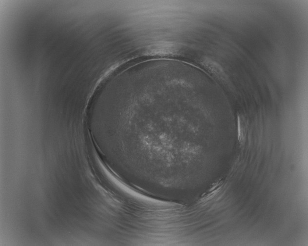 X0000056380204200509021850