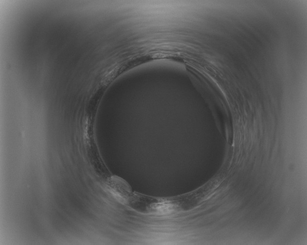 X0000056380219200509021849