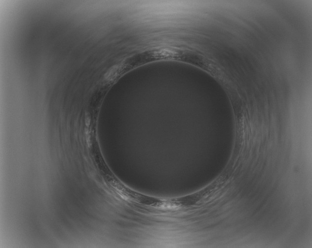X0000056380223200509021849