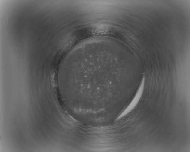 X0000056380224200509021849