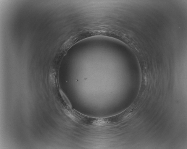 X0000056380231200509021849