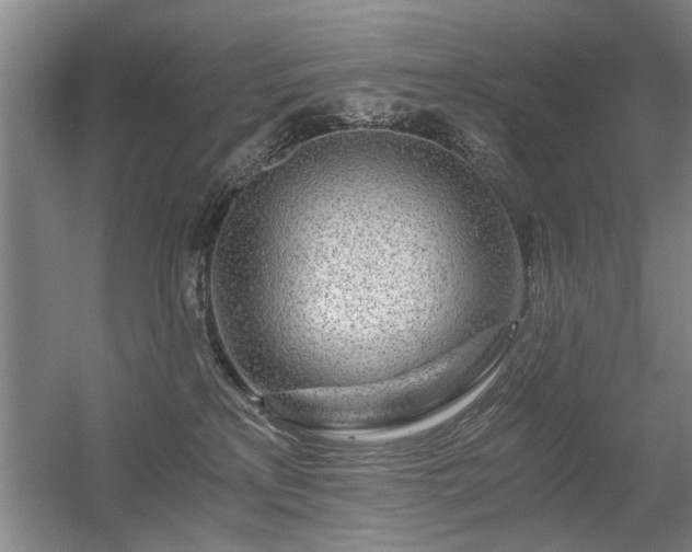 X0000056380233200509021849