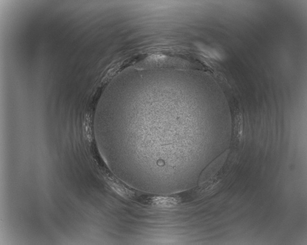 X0000056380234200509021849