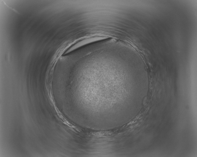 X0000056380241200509021848