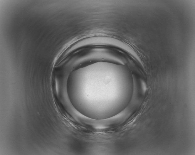 X0000056380244200509021848