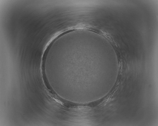 X0000056380292200509021848