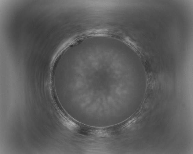 X0000056380293200509021848