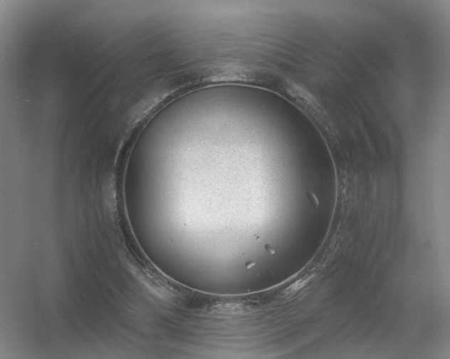 X0000056380298200509021848