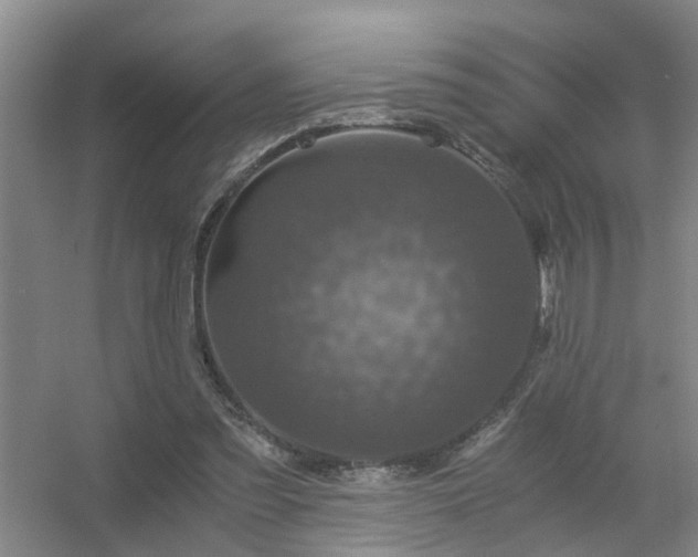 X0000056380301200509021848