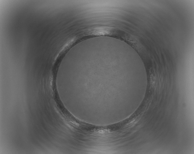 X0000056380304200509021848