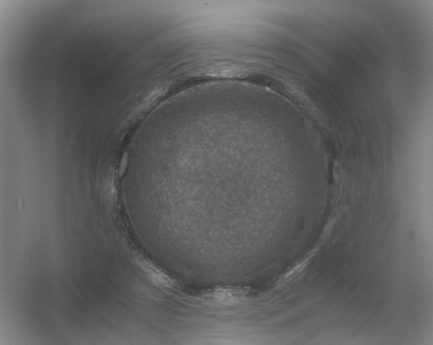 X0000056380305200509021848