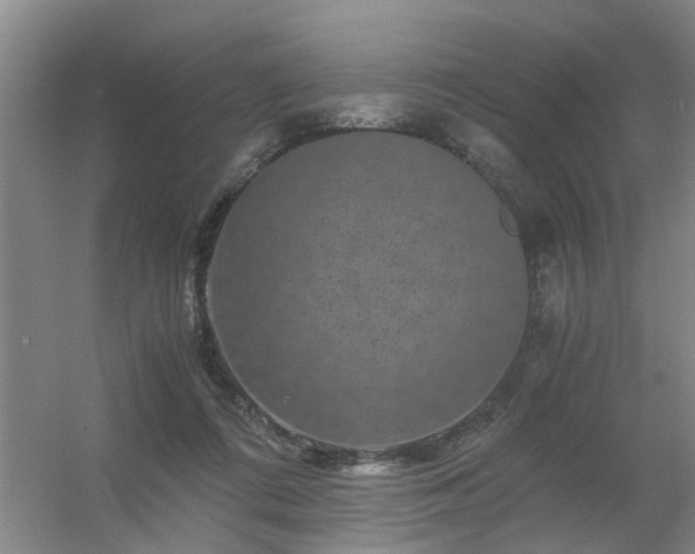 X0000056380312200509021848