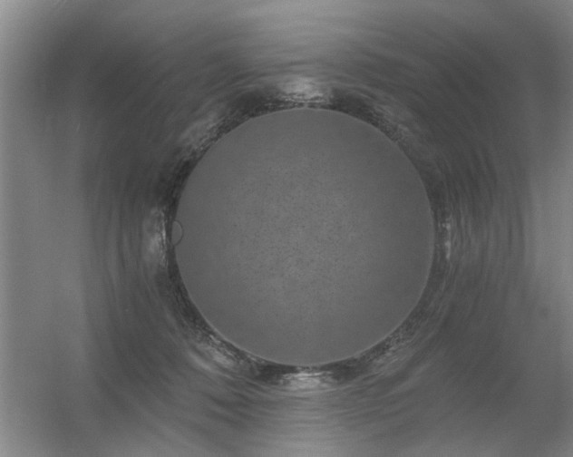 X0000056380320200509021848