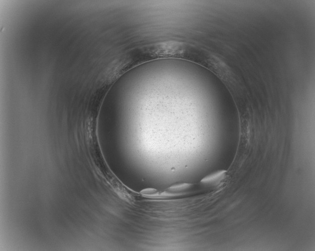 X0000056380326200509021848
