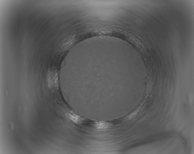 X0000056380336200509021847