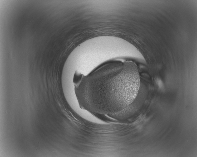 X0000056380380200509021847