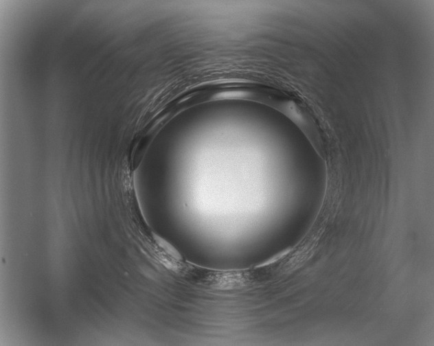 X0000056380384200509021847
