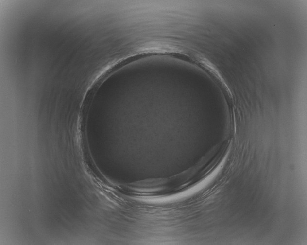 X0000056380387200509021847