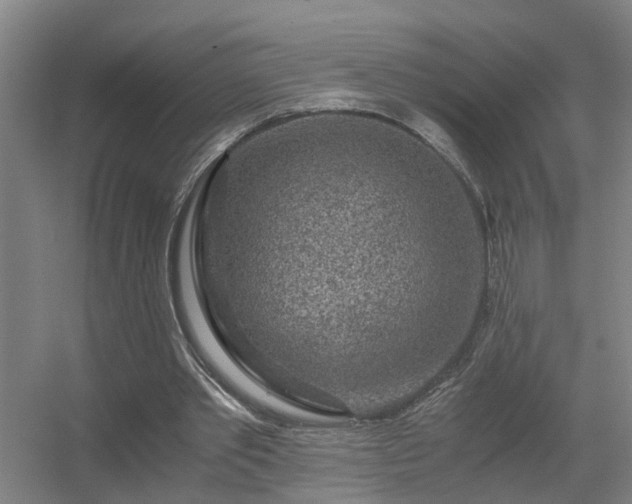 X0000056380389200509021847