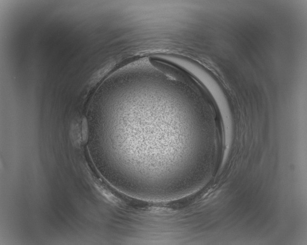 X0000056380393200509021847
