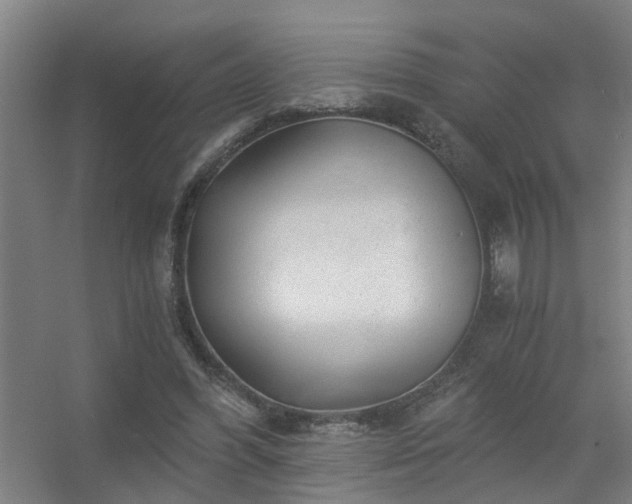 X0000056380396200509021846