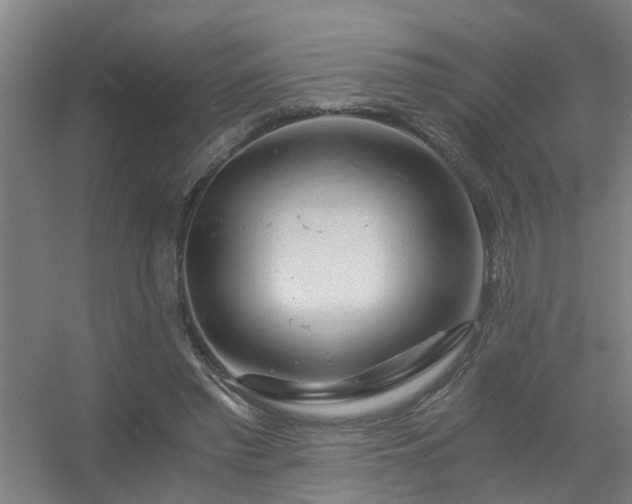 X0000056380397200509021846