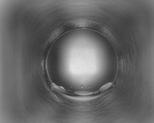 X0000056380406200509021846