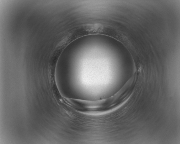 X0000056380416200509021846