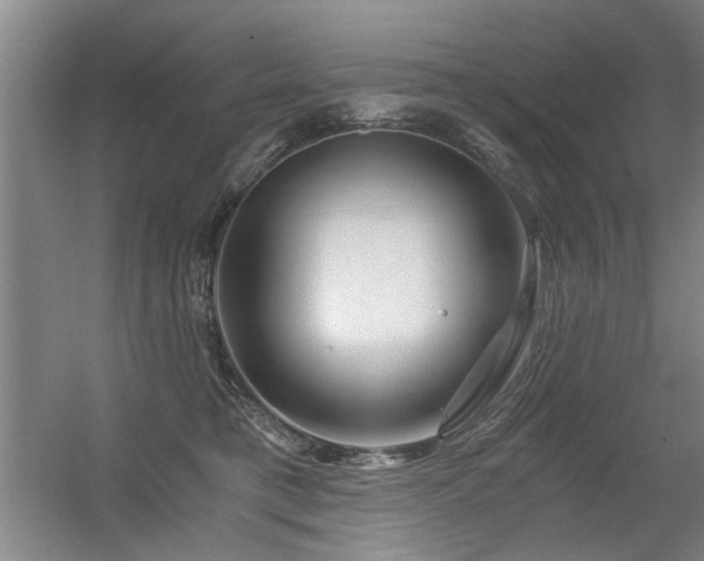 X0000056380421200509021846