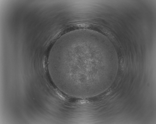 X0000056380424200509021846