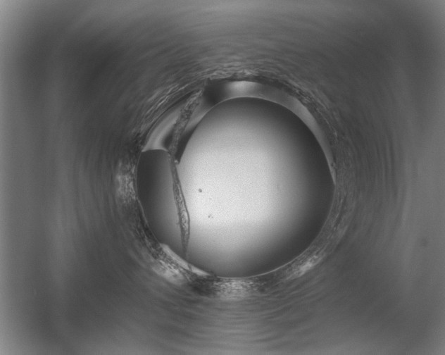 X0000056380432200509021846
