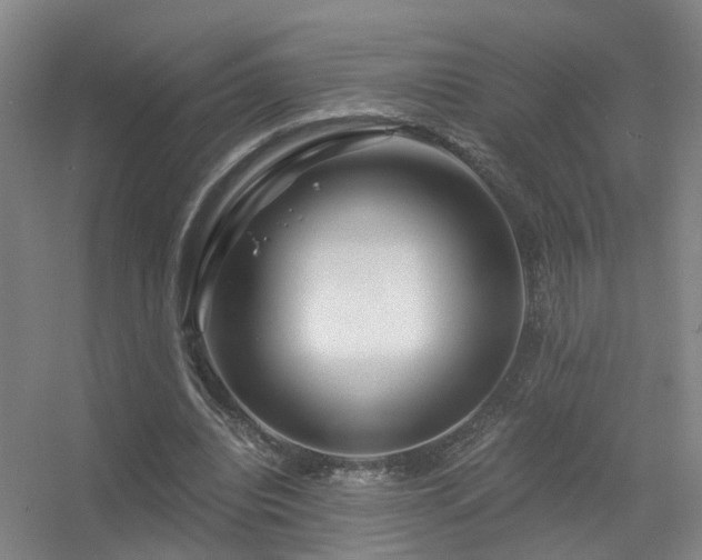 X0000056380440200509021845
