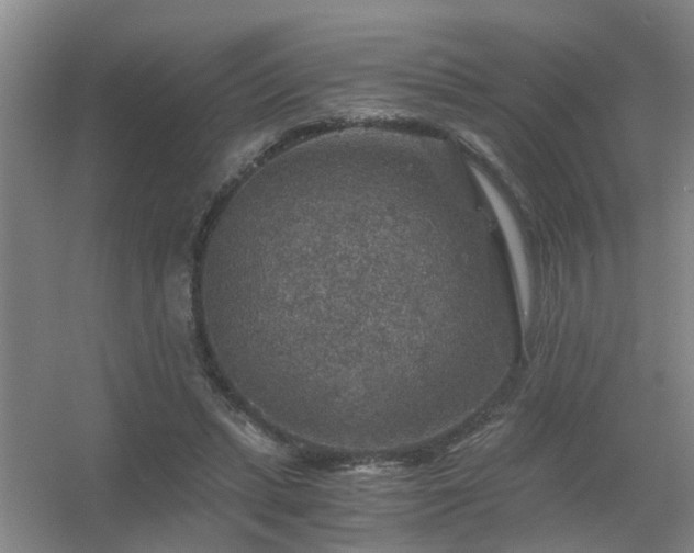 X0000056380447200509021845